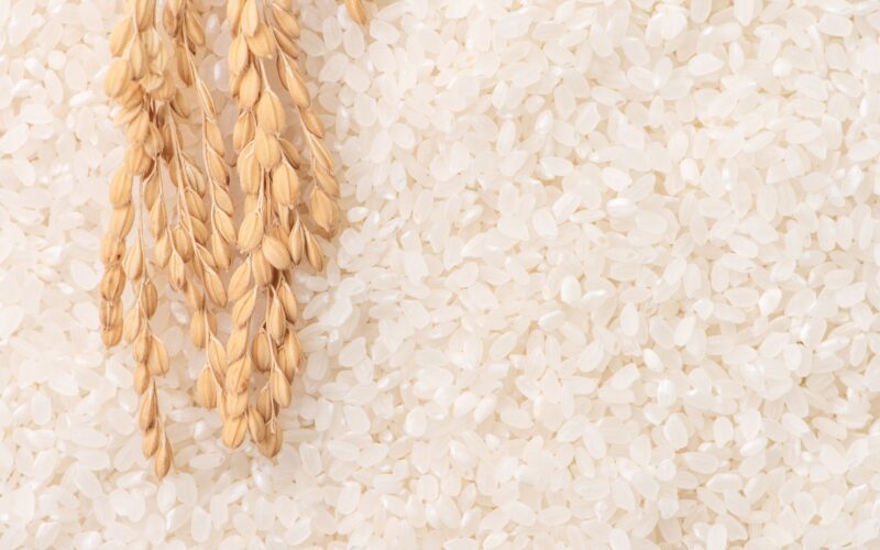 arroz (1)